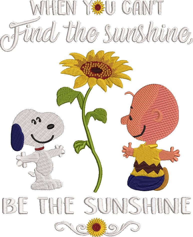 Find The Sunshine Find The Sunshine