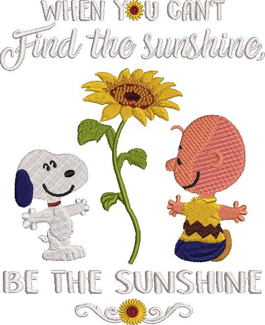 Find The Sunshine Find The Sunshine