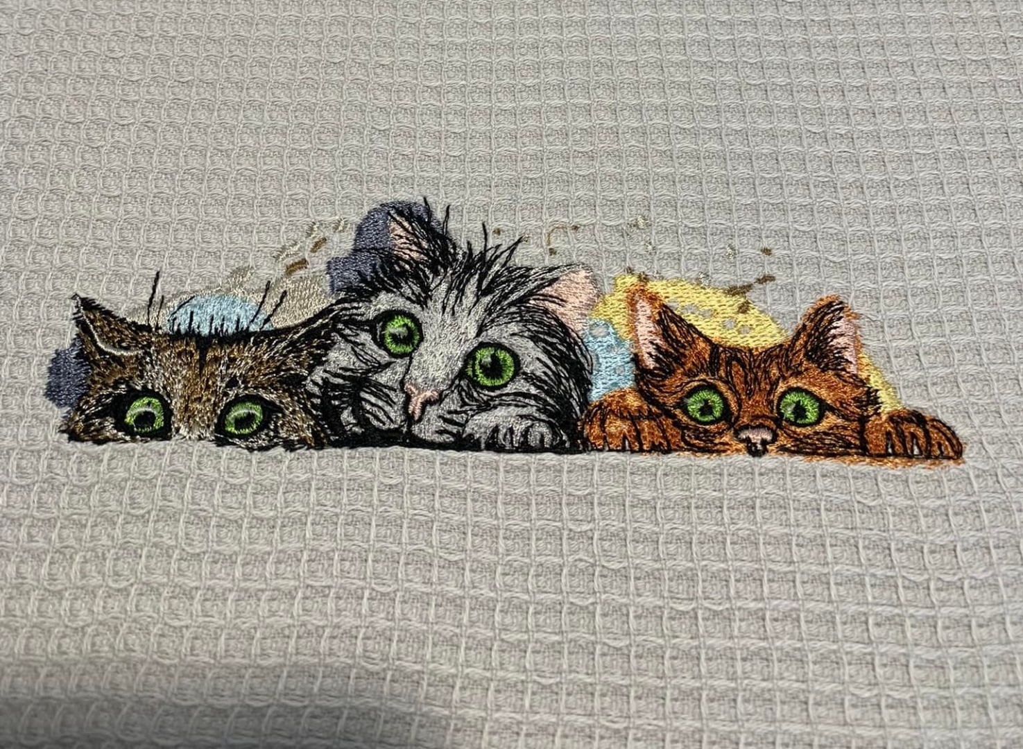 Three Cats on the Wall Three Cats on the Wall