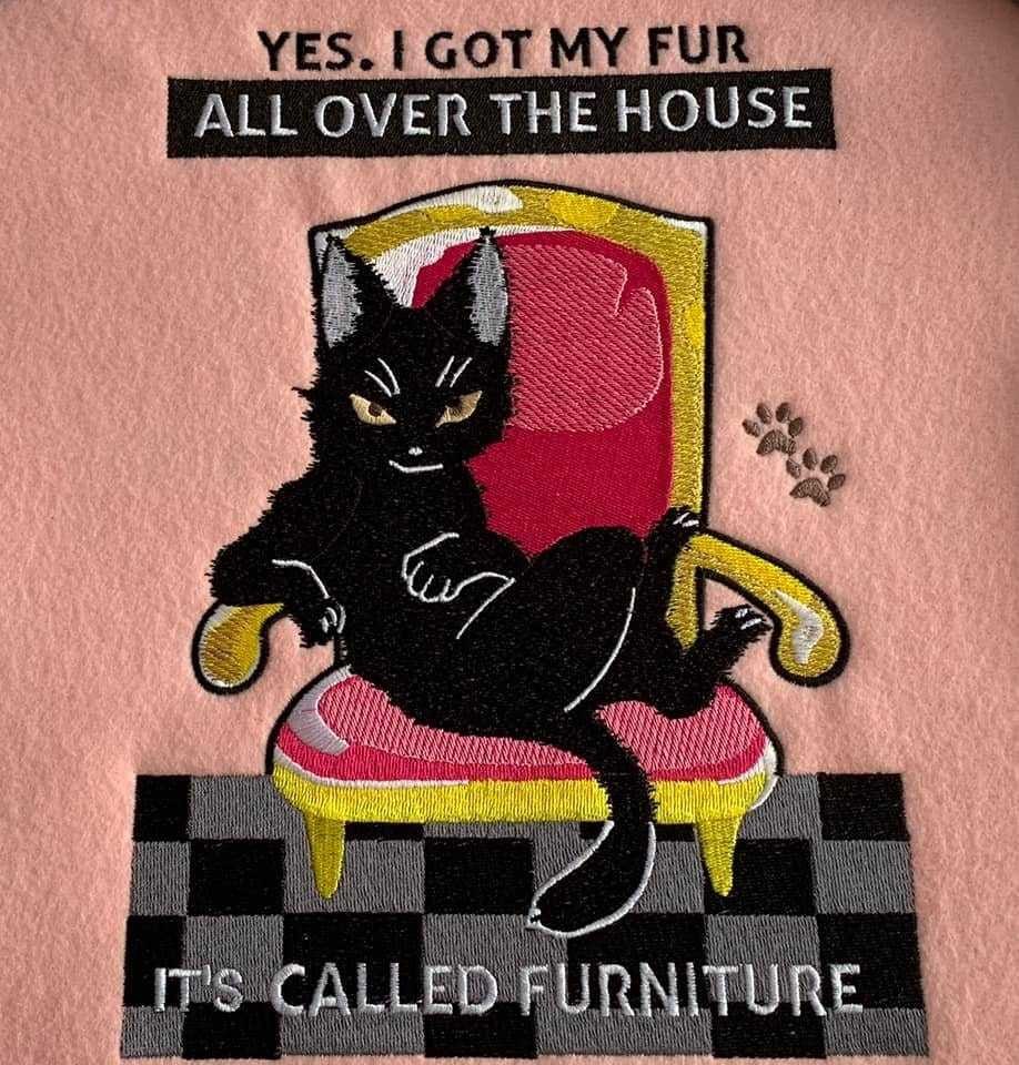 Funny Cat Furniture Quote Funny Cat Furniture Quote