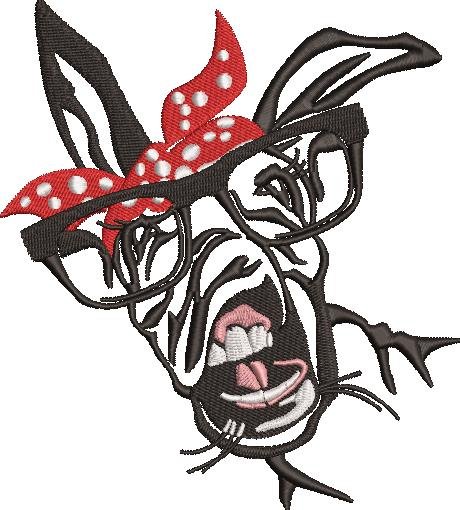 Donkey Face Donkey Face