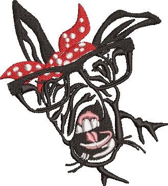 Donkey Face Donkey Face