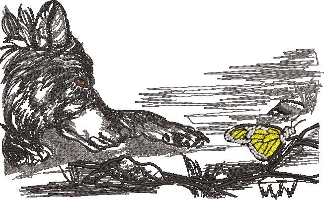 Dog And The Butterfly