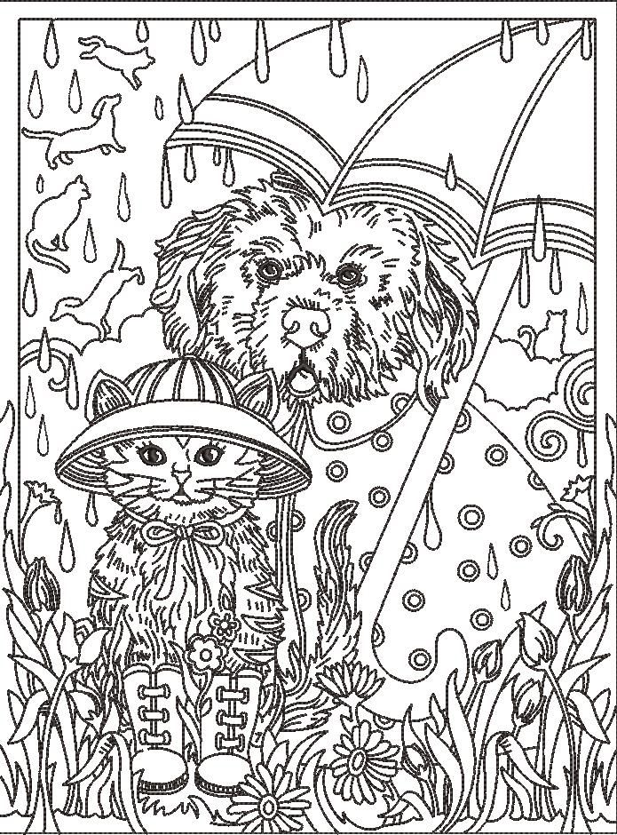 It's Raining Cat & Dog