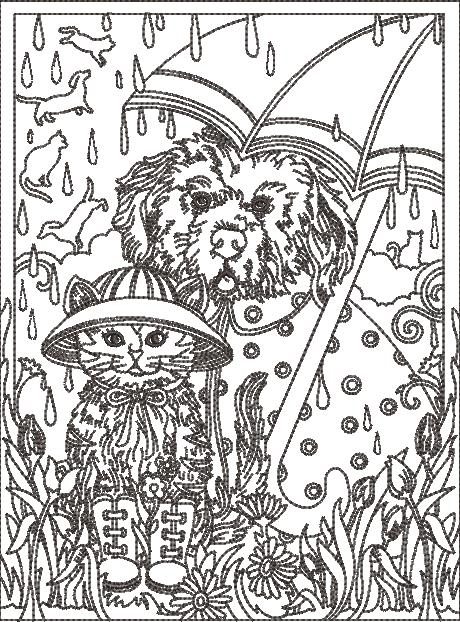 It's Raining Cat & Dog