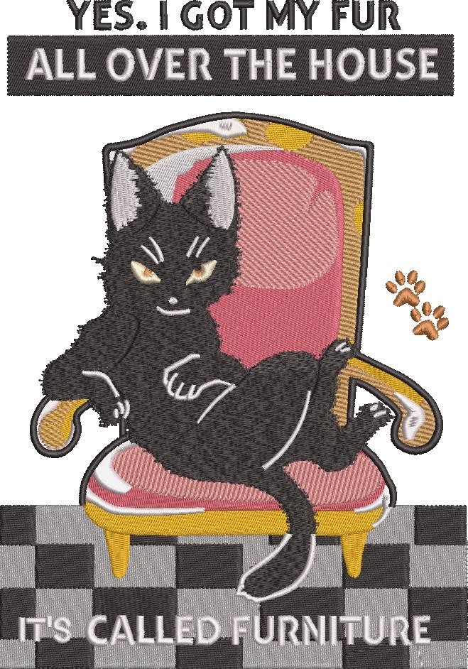 Funny Cat Furniture Quote Funny Cat Furniture Quote
