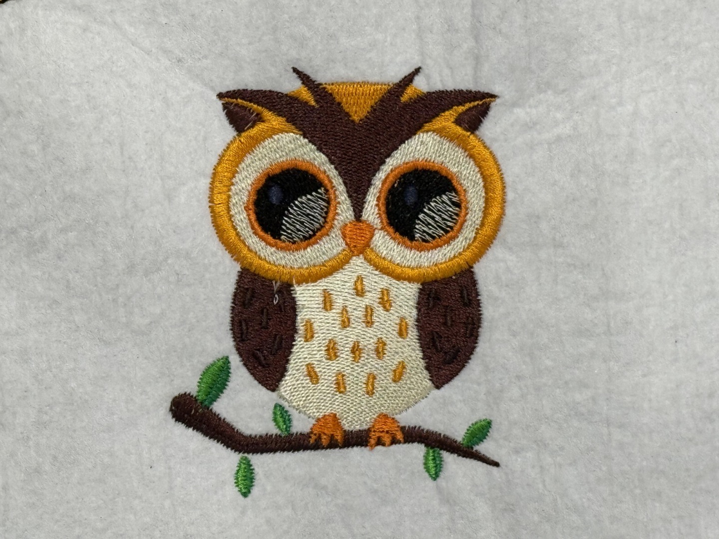 Owl