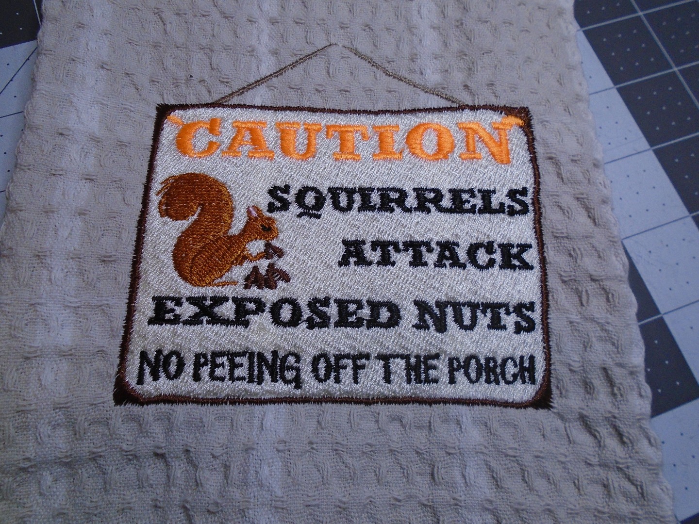 Squirrels Attack Exposed Nut