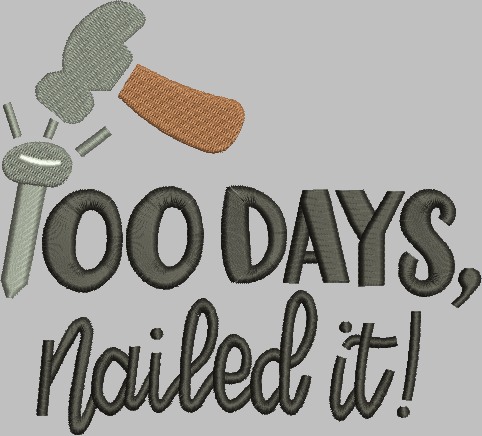 100 Days 100 Days