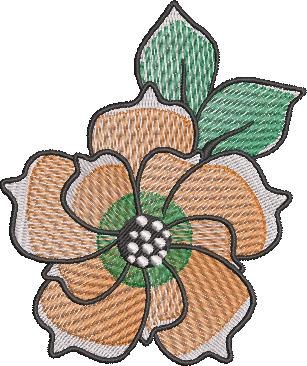 Magnolia Flower