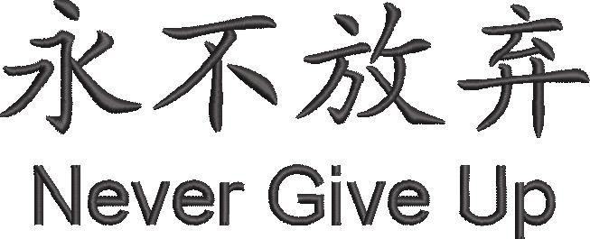 Never Give Up Never Give Up