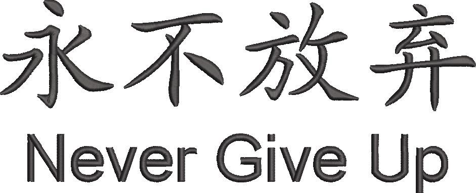 Never Give Up Never Give Up