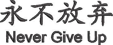 Never Give Up Never Give Up