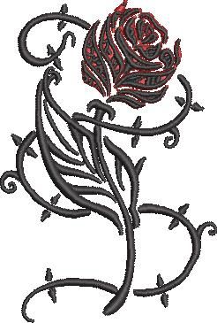 Red Rose Red Rose