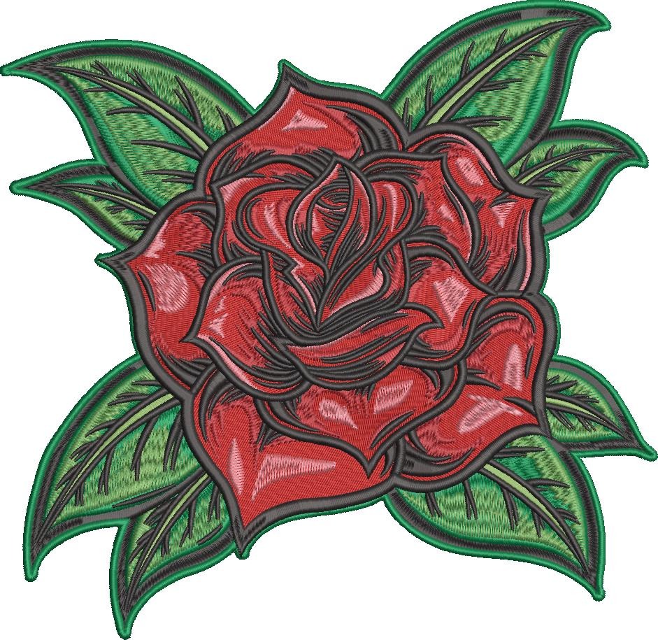 Beautiful Rose Beautiful Rose