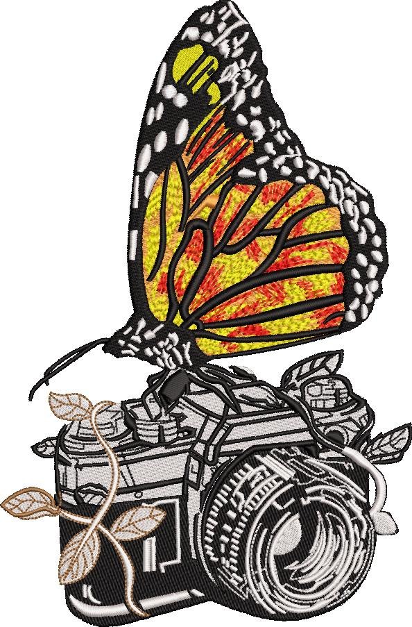 Butterfly On Camera Butterfly On Camera