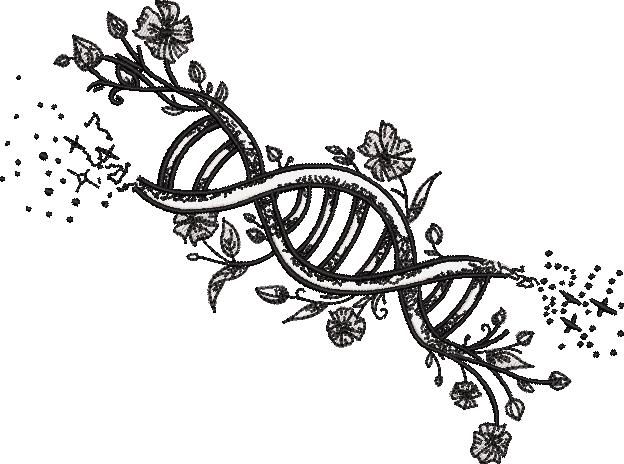 Floral DNA Floral DNA