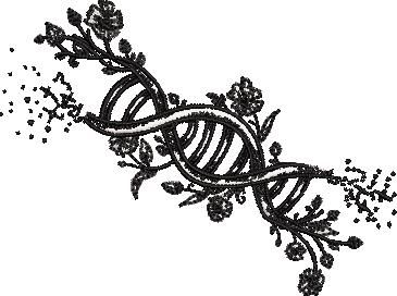 Floral DNA Floral DNA