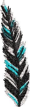 Feather Feather