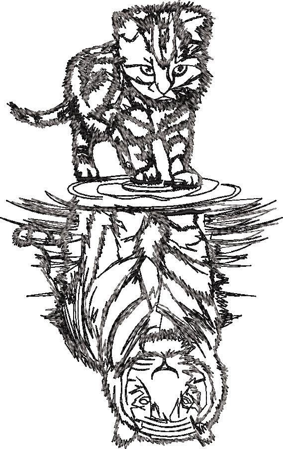 Feline Reflections Feline Reflections