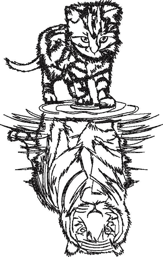 Feline Reflections V2 Feline Reflections V2