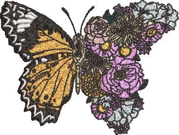 Floral Butterfly Floral Butterfly
