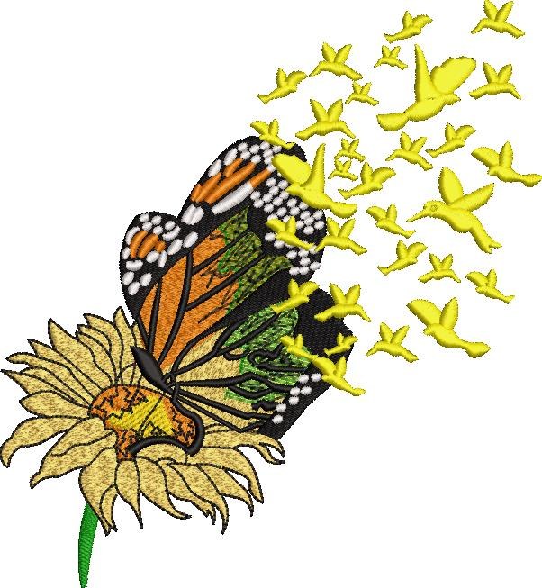 Flower Butterfly Flower Butterfly