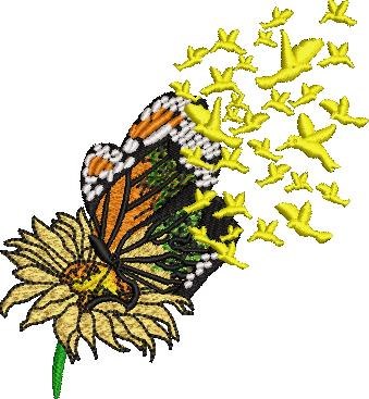 Flower Butterfly Flower Butterfly