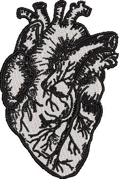 Heart Sketch