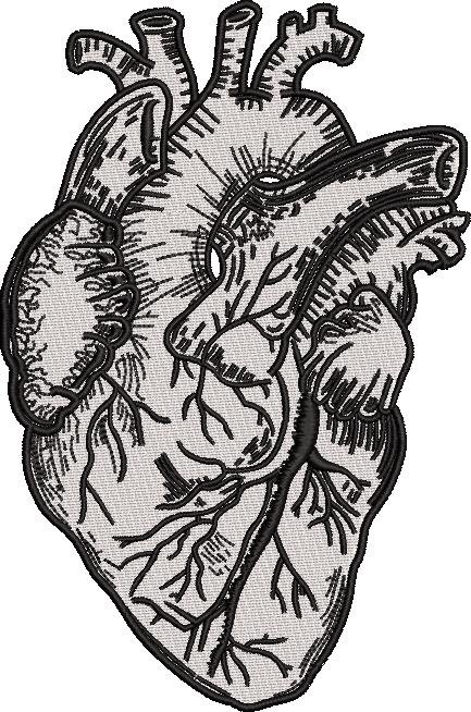 Heart Sketch