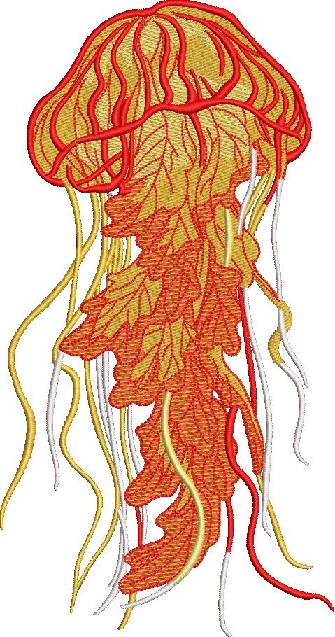 Jelly Fish