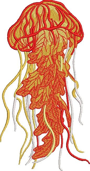 Jelly Fish