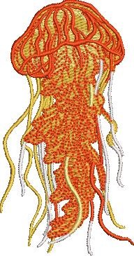 Jelly Fish