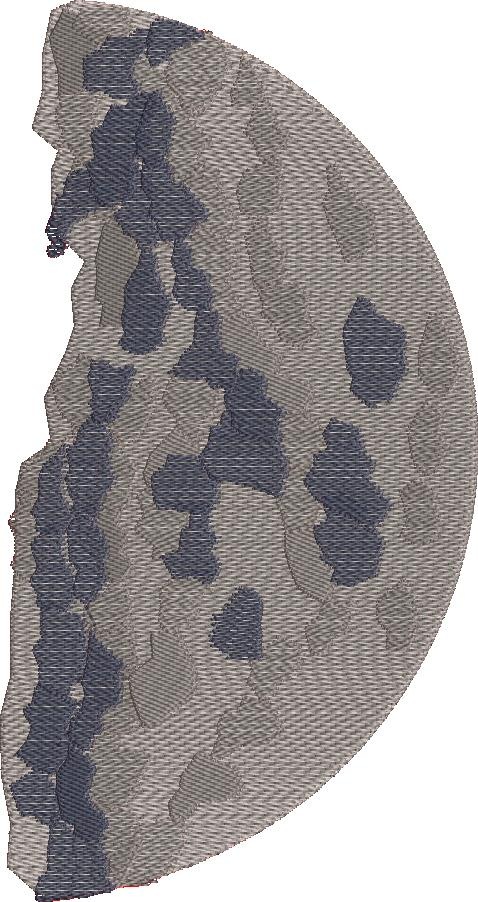 First Quarter Moon Phase 02 First Quarter Moon Phase 02