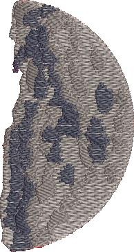 First Quarter Moon Phase 02 First Quarter Moon Phase 02