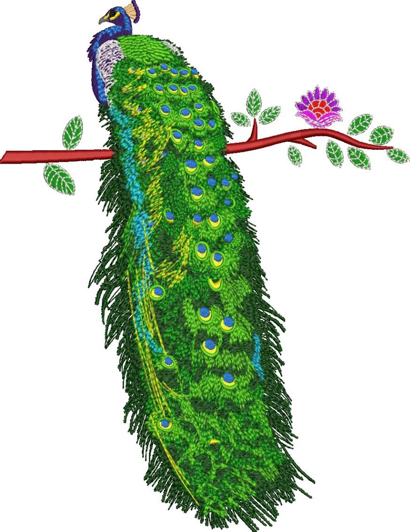Peacock Peacock