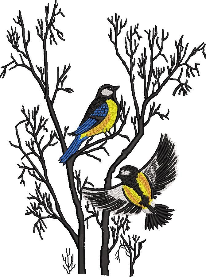 Birds on Tree Birds on Tree