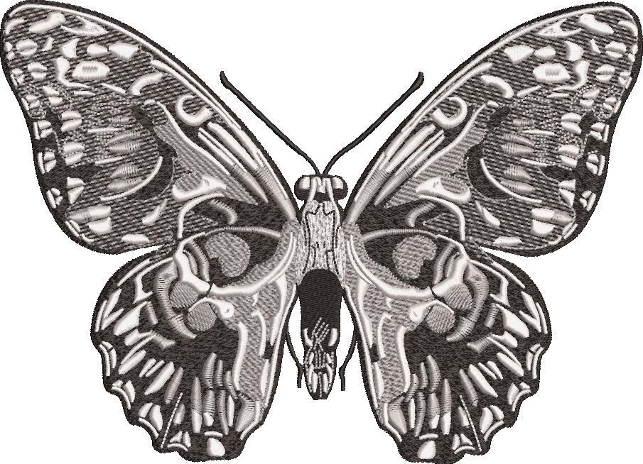 Skull Butterfly Skull Butterfly