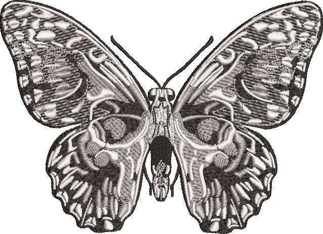 Skull Butterfly Skull Butterfly