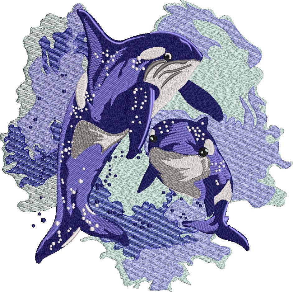 Killer Whale Killer Whale