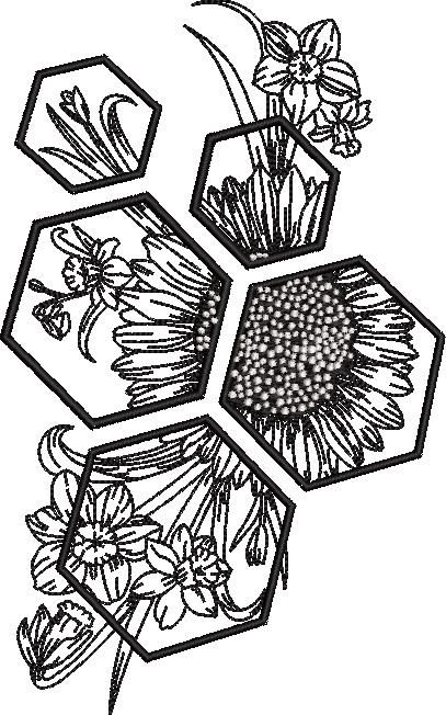 Sunflower Puzzle Sunflower Puzzle