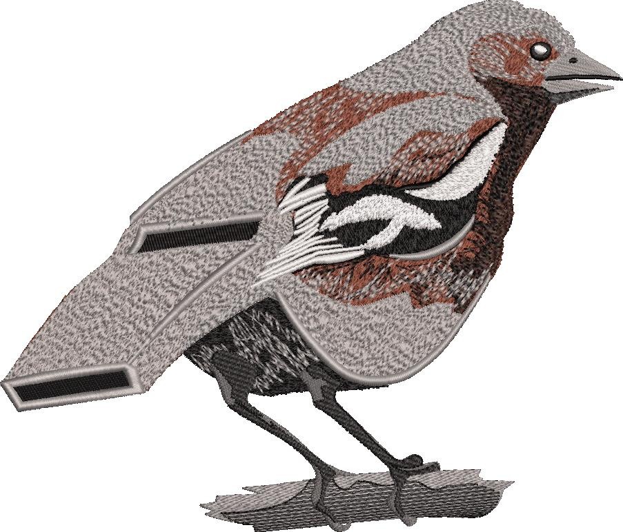 Bird Whistle Illusion Bird Whistle Illusion
