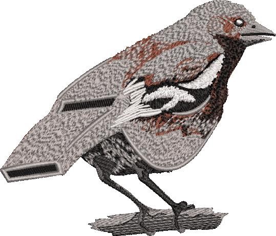 Bird Whistle Illusion Bird Whistle Illusion