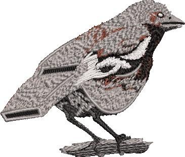 Bird Whistle Illusion Bird Whistle Illusion
