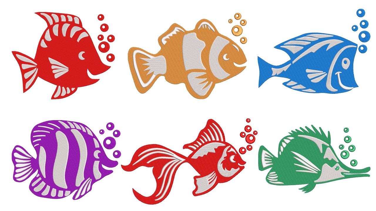 Fish Collection Fish Collection