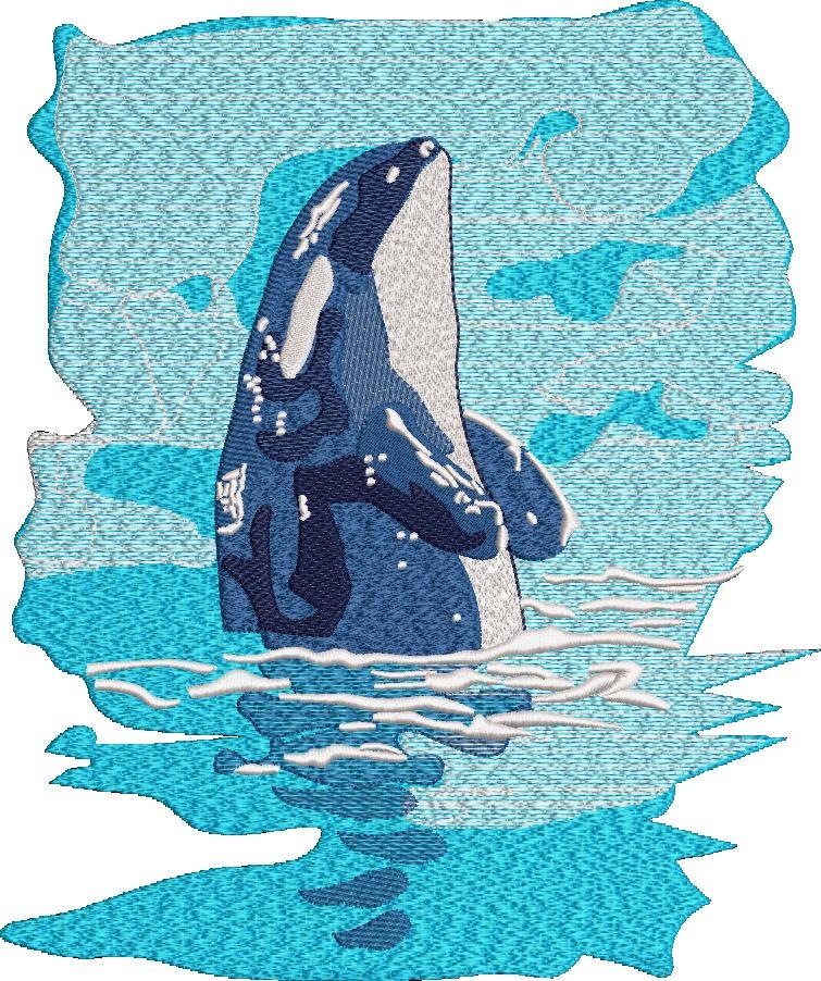 Whale Embroidery Whale Embroidery