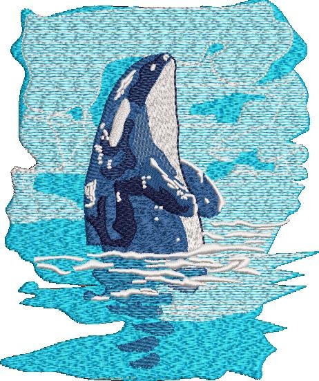 Whale Embroidery Whale Embroidery