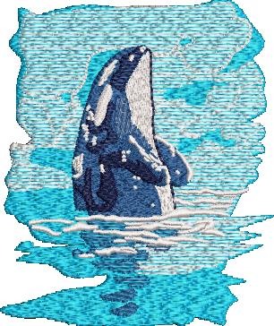 Whale Embroidery Whale Embroidery