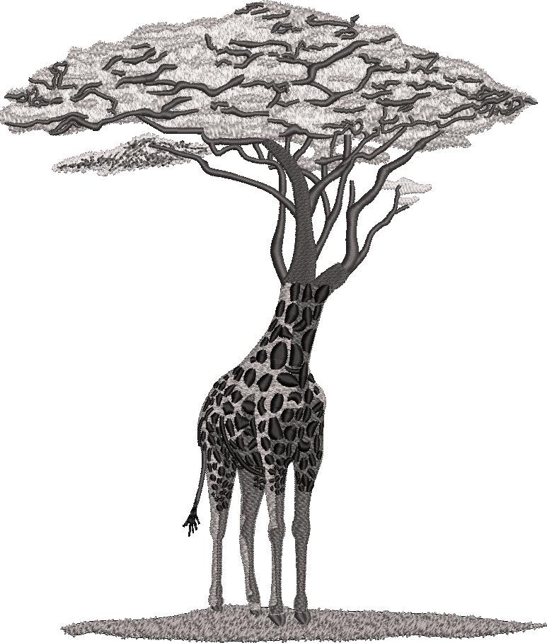 Giraffe Tree Giraffe Tree