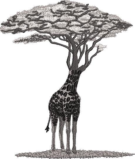 Giraffe Tree Giraffe Tree